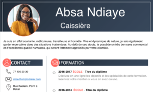 CV pour reconversion professionnelle Sénégal